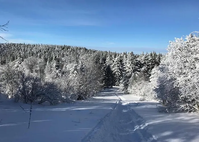 Confortable 4 Pers Au Mont-dore - Fr-1-608-148 Appartamento