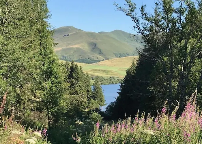 Apartment Confortable 4 Pers Au Mont-dore - Fr-1-608-148