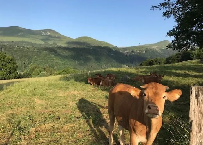 Apartment Confortable 4 Pers Au Mont-dore - Fr-1-608-148 *